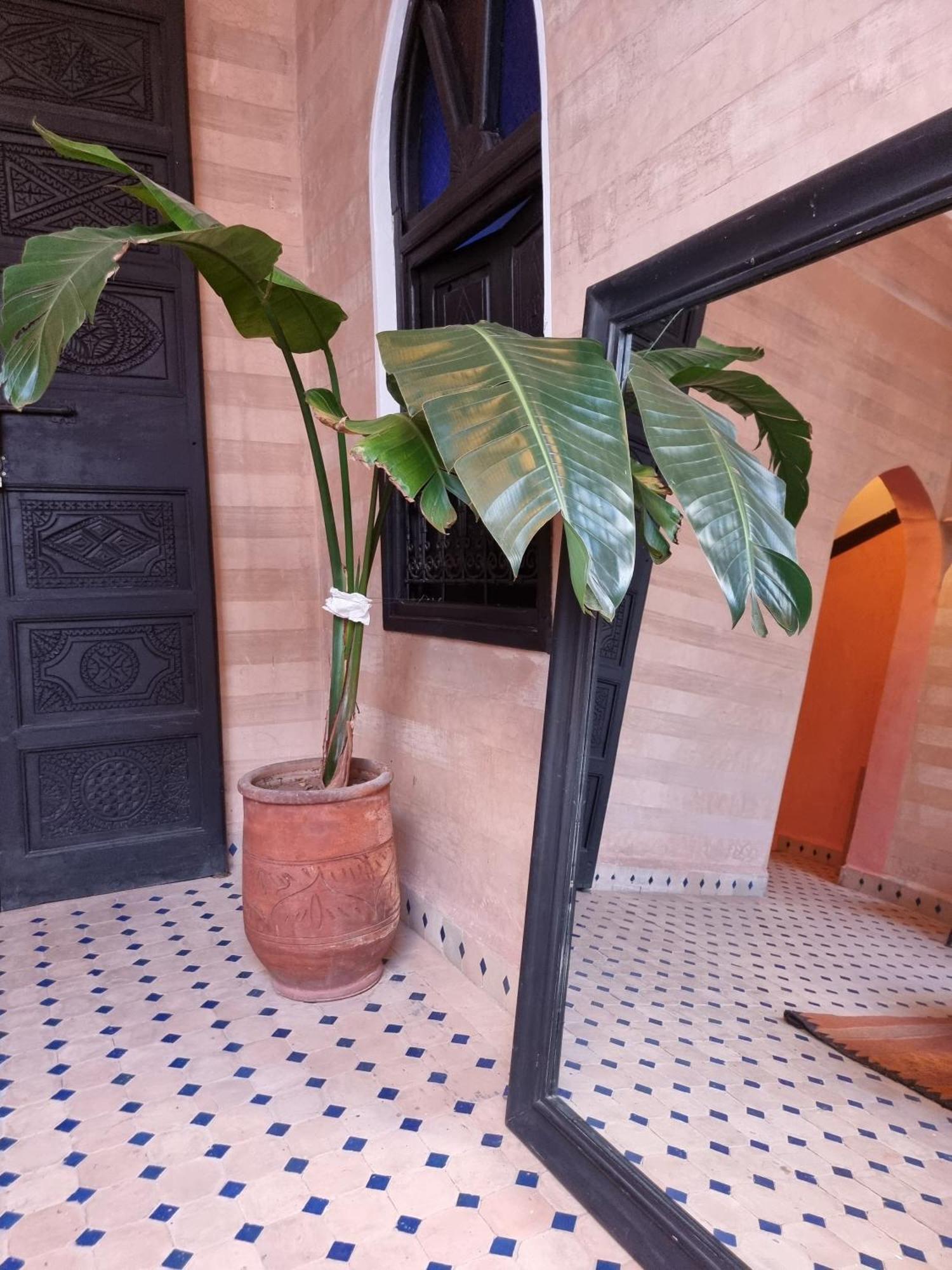 Riad Black Doors مراكش المظهر الخارجي الصورة