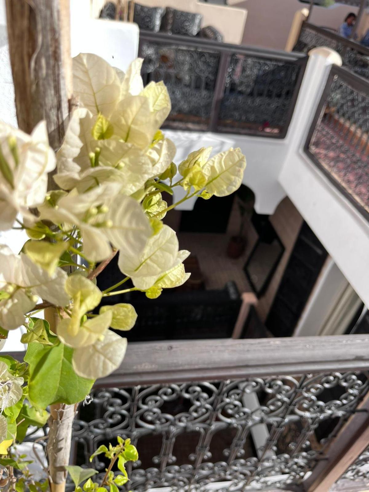 Riad Black Doors مراكش المظهر الخارجي الصورة